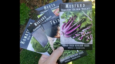 Baker creek seeds - Baker Creek Heirloom Seeds, Mansfield, MO. Monday - Friday 8:00am - 4:00pm. Petaluma Seed Bank, Petaluma, Ca. Sunday - Thursday 10:00am - 4:00pm. We want to hear from you. For more information, please complete the form below and we will be in touch as soon as possible. Name * Email * Phone *